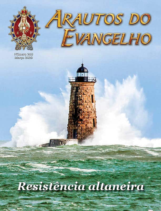 03 - revista3