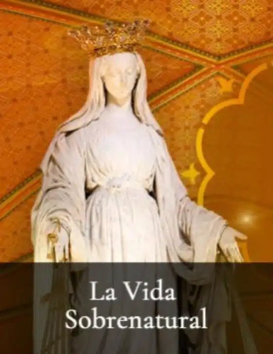 PLA CURSOS ES 08