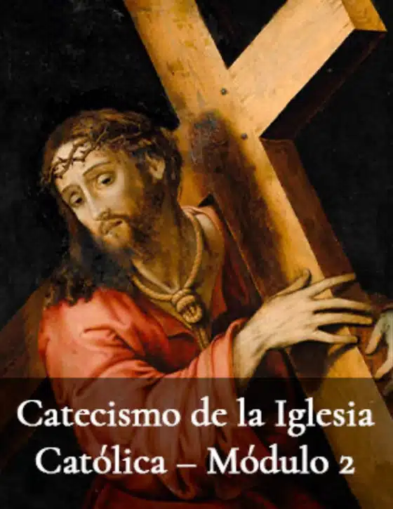 PLA CURSOS ES 15