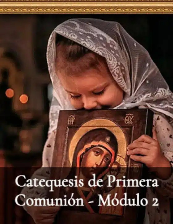 PLA CURSOS ES 17